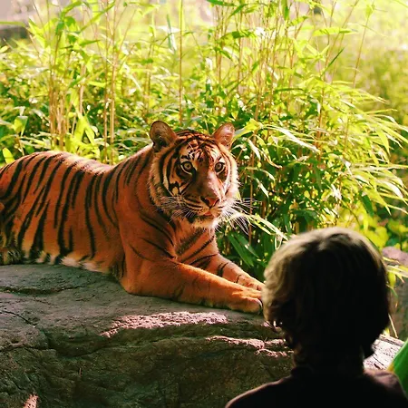 فان دِر فالك - بلايدورب فندق 4*